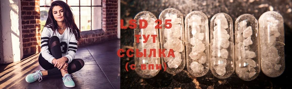 ECSTASY Гусев