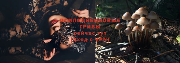 ECSTASY Гусев