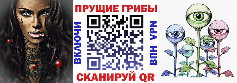 Псилоцибиновые грибы Psilocybine cubensis  Зеленогорск 
